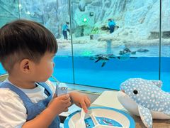 -帝企鹅自助餐厅•儿童岛•真企鹅(长隆企鹅酒店)