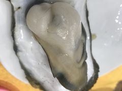 生蚝-蚝专家(北滘店)