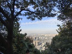 -惠山国家森林公园