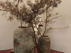 -雲說·花(西宸天街店)