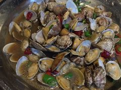 铜盘花蛤-新白鹿餐厅(城西银泰城店)