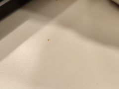 -肯德基(亦庄上海沙龙店)