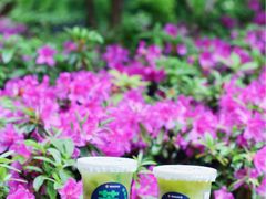 -炖物24章·顺时轻养茶(杭州大厦店)