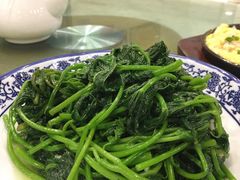 番薯叶-粤·向群饭店(泮塘路店)