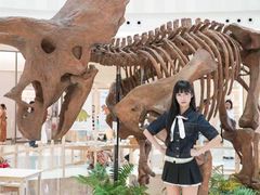 -上海七宝领展广场