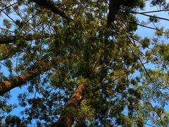 -人民公园(罗湖区)