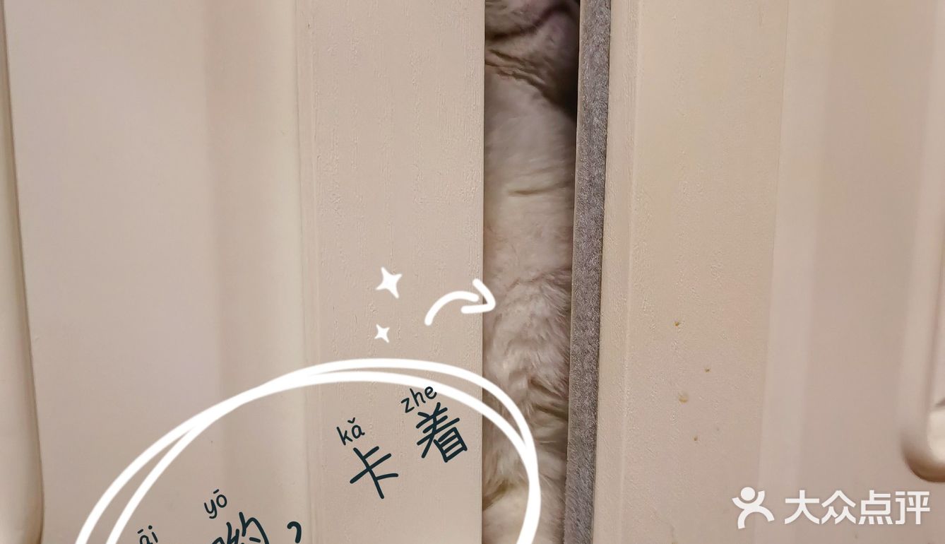 泡泡糖的日常——禁闭篇