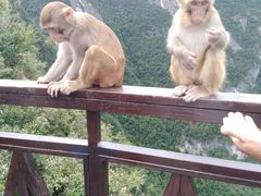 -重庆云阳龙缸景区