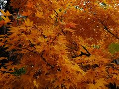 -苏州河梦清园环保主题公园