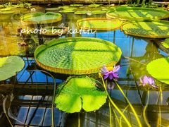 -国家植物园南园