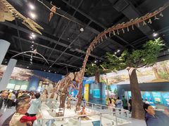 -国家自然博物馆