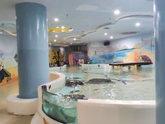 -台州海洋世界
