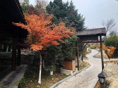 -金隅凤山酒店