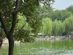 -莲湖公园