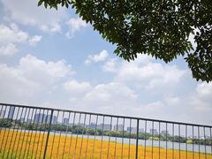 -海珠湖公园