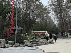 -合肥滨湖国家森林公园