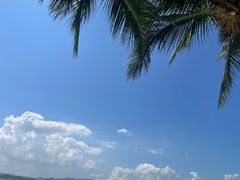 -深圳湾公园(南山区)