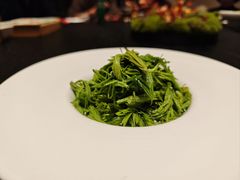 -竹雨堂创意中国菜(裕华店)