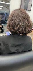 -蚂蚁造型俱乐部