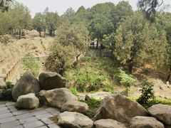 -泰山风景名胜区-普照寺