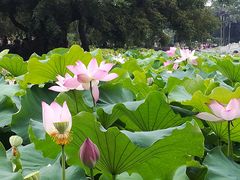 -雀儿山公园