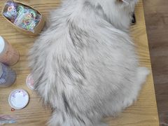 -朝画惜时·陶艺·拼豆·团建