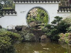 -南山植物园
