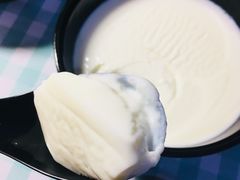 招牌双皮奶-双喜老铺(人民广场店)