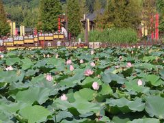 -云龙湖旅游景区