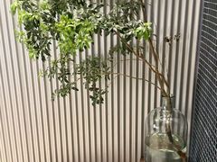 -一坐一忘云南菜(嘉里中心店)