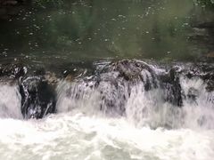 -杭州林泉山庄