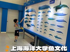 -上海海洋大学鱼文化博物馆(军工路校区)