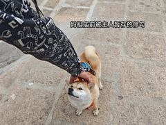 -莆田湄洲妈祖祖庙