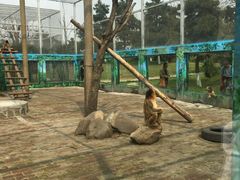 -西安秦岭野生动物园