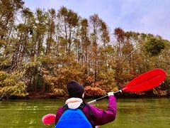 -上海海湾国家森林公园