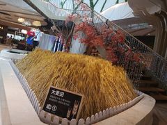 -武汉光谷K11