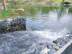 -宁波九龙湖开元度假村