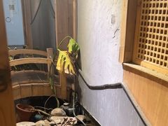 -邈墨茶馆(凤起路店)