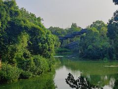 -八大山人梅湖景区