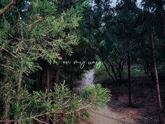 -鬼笑石后山停车场