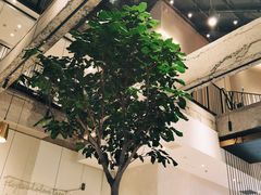 -大树餐厅(红旗街万达店)