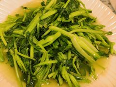 清炒鸡毛菜-白魁老号饭庄(交道口店)