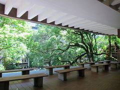 -香港大学