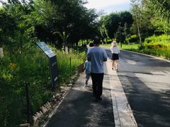 -小绿谷公园