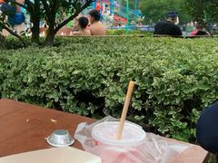 -苏州乐园森林水世界