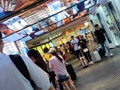 -乐天免税店(明洞店)