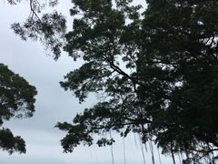 -大埔公路-马料水段香港中文大学(公交站)