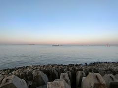-上海滨江森林公园
