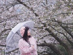 -杭州少年儿童公园