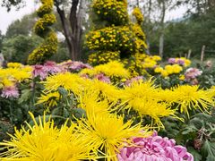 -国家植物园南园